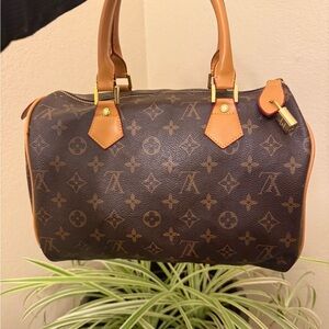 LV Speedy Bag